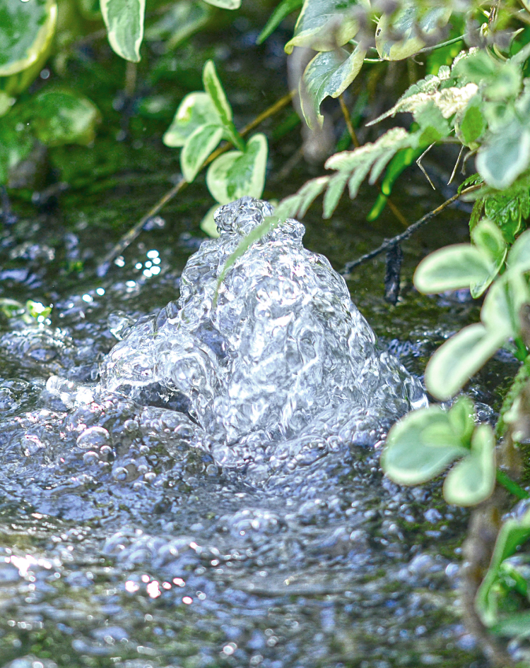 井戸水のクリアな湧き水